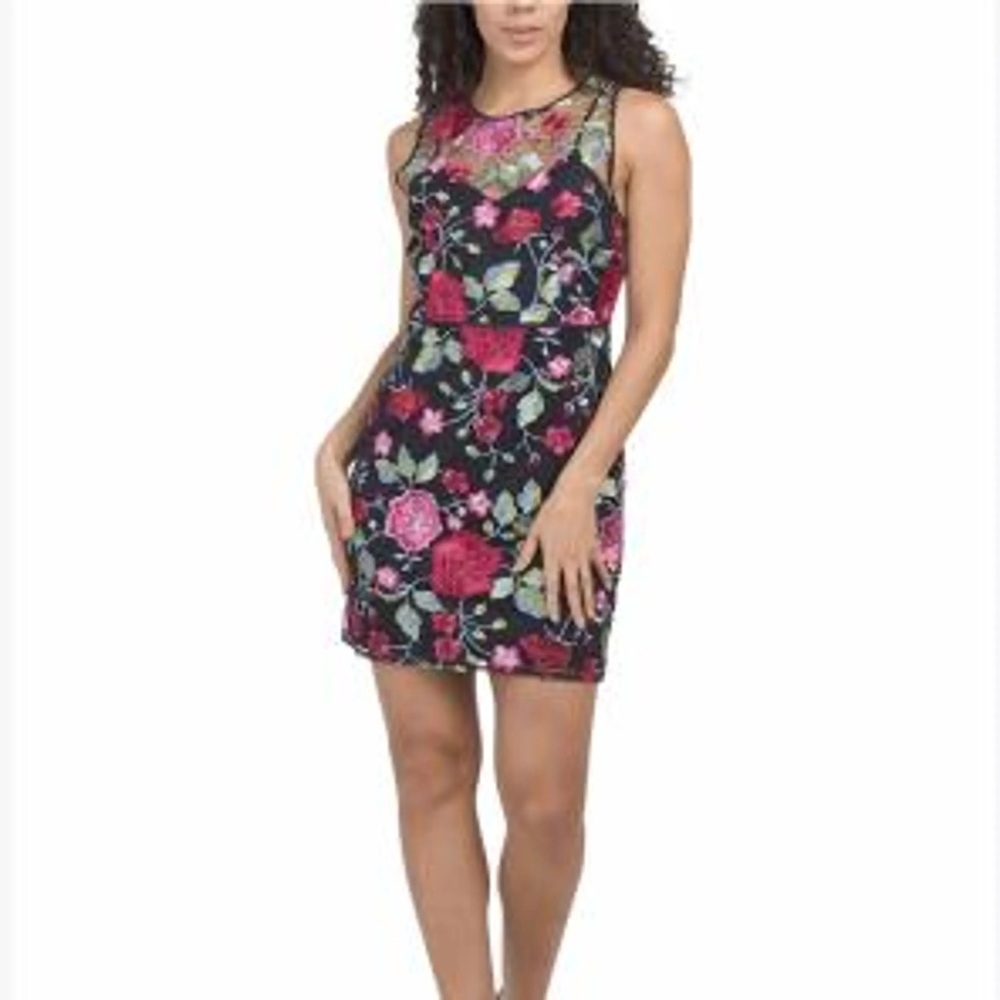 NWT Sam Edelman Pink Floral Embroidered Mini  Dress